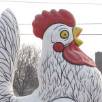 Travels with Bucqui: My apologies to the chicken