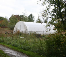 Our hoophouse in the field