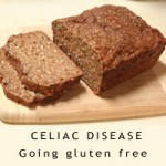 GF bread made from the mix in the video