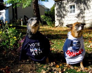 dogobama2 Suki and Isabel are also politically active