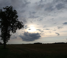 silence-230