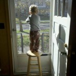 Frankie Watching Street Sweeper