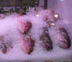 Poem/a/day: Monaghan’s Fish Market