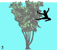 Life & Other Problems: A poem as lovely as a tree