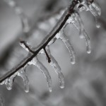 ICE STORM: Questions from the Averill Neighborhood