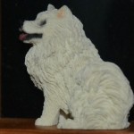 My dog